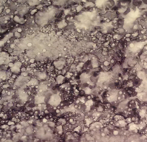 marble spotted 2        